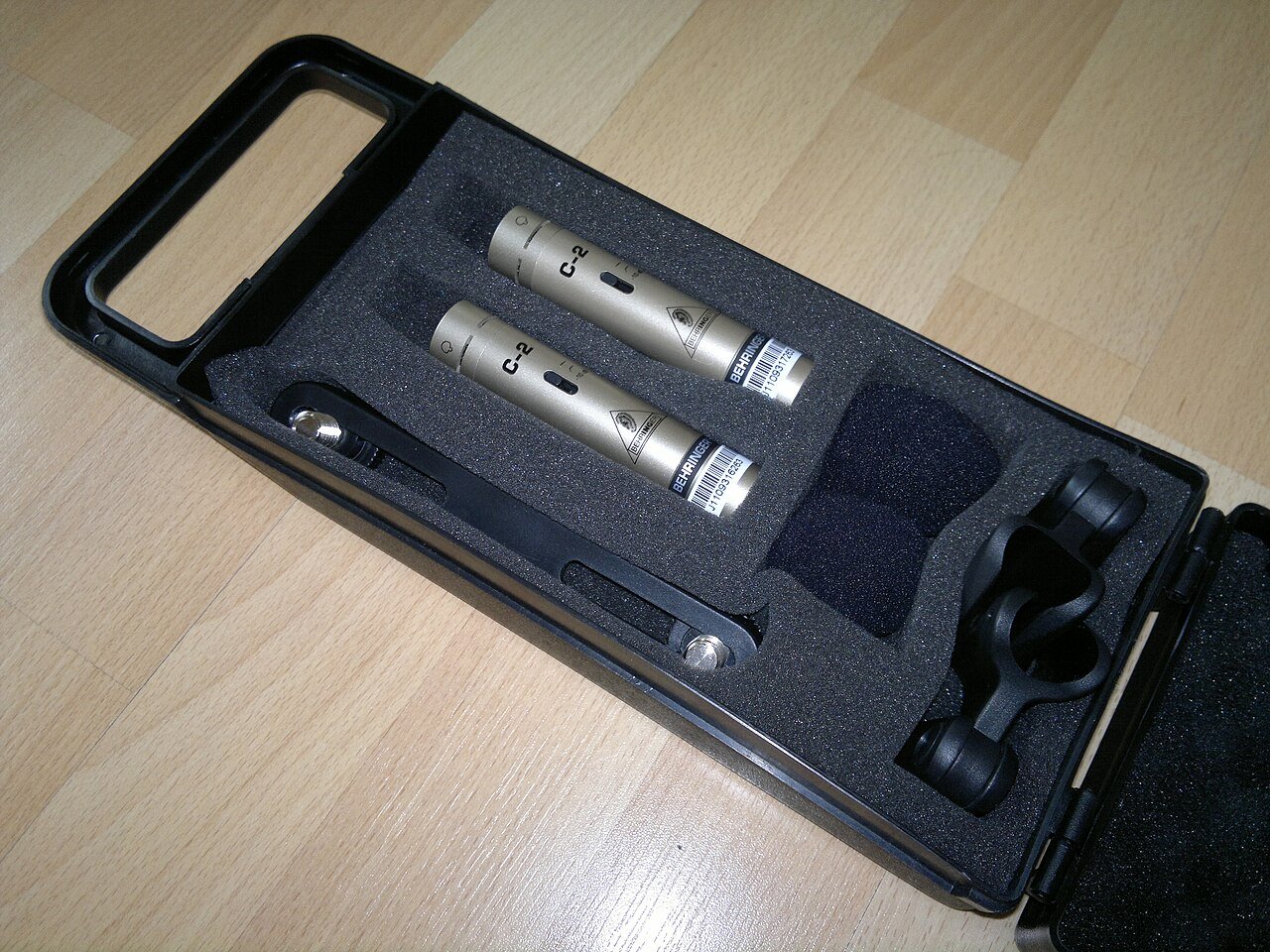 A pair of small condenser microphones